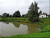SP5968 : Sidepond by Watford staircase locks, Northamptonshire by Roger  Kidd