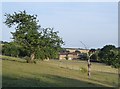 Towards Little Pett Farm