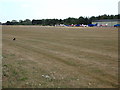 TL8427 : Runway No.24 at Earls Colne Airfield by Geographer