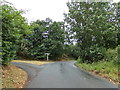TL8424 : Marks Hall Road, Coggeshall by Geographer