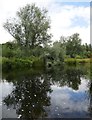 The Whiteadder Water near Edrington Castle Mill ford