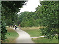 Path between The Avenue and Green Street