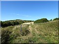 Mill Hill Nature Reserve