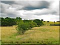 Rumby Hill from the west