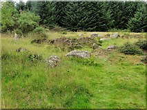 NJ9451 : Chambered Cairn of White Cow Wood by Andrew Wood