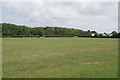 Windmill Lane Playing Fields