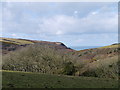 View towards Millook