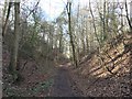 Old Railway Cutting, Shincliffe Park