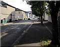 Trees and houses, Junction Road, Barnardtown, Newport