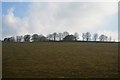 Cornish hillside