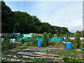 Wilderness allotments, Porthcawl