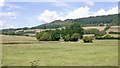 Farmland, Stockton