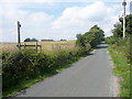 Footpath to Skirden Hall, near Tosside