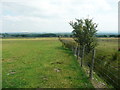 Footpath along the county boundary near Tosside