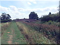 Walbut Bridge, Pocklington Canal