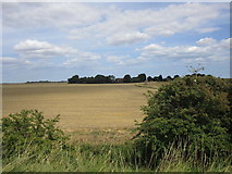 TA2517 : Stubble field and South Farm by Jonathan Thacker