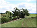 Path along the flood bank