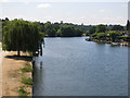 The River Thames upstream of Walton Bridge