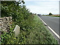 SD7170 : Boundary stone on the A65 by Humphrey Bolton