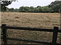 Parched grass field near Bray