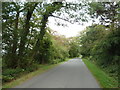 Minor road towards Paythorne Moor