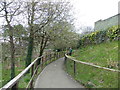 Welsh Mountain Zoo