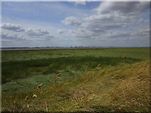 TA2418 : Marshland on the Humber Estuary by Jonathan Thacker