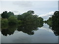 SE3866 : The River Ure, looking upstream [locally west] by Christine Johnstone
