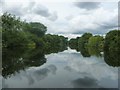 The River Ure, looking upstream [locally west]