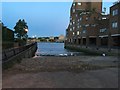 Slipway and swans by the Thames Path