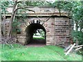 Remains of the old railway bridge