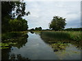 SE3368 : Ripon Canal, near Ox Close House by Christine Johnstone