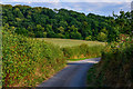 Mid Devon : Downhayne Hill