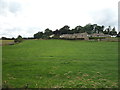 Grazing towards Long Hill Farm