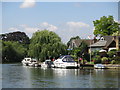 The River Thames by Thames Meadow