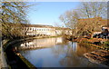 River Avon, Chippenham, Wiltshire 2014