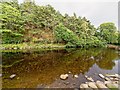 Pool above the weir on the River Averon or Alness