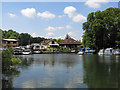 The River Thames and houses and boatyard, Sandhills Meadow