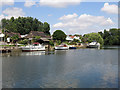 The River Thames by Sandhills Meadow