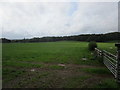 Grass field on the outskirts of Lockerbie