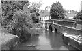 River Avon, Malmesbury, Wiltshire 2013