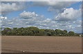 Freshly prepared fields at Stanley Farm