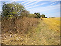 Public footpath to Breadsall north of Breadsall Hilltop