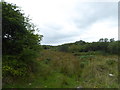 Wet ground on the southern edge of Tregoss Moor