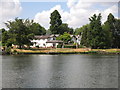 The River Thames by the Weybridge - Shepperton ferry