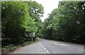 The A272, Strood Green