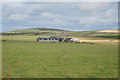 HY4309 : Tofts Farm off Orquil Road, Orkney by Ian S