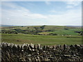 Sheep grazing near Crowshaw