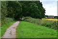 Path on former railway trackbed south of Crow