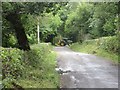 Hedgerow trimming in progress